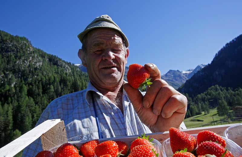 Manifestazioni ed eventi